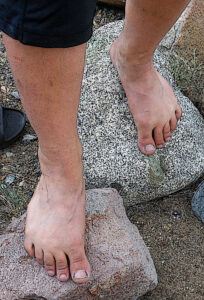 what the foot